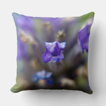 Sweet Lavender