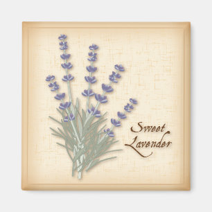 Sweet Lavender Magnet