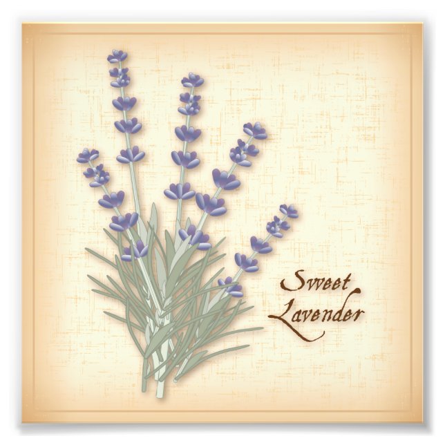 Sweet Lavender Photo Print Fototryck (Framsidan)