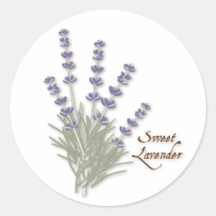 Sweet Lavender Round Sticker Runt Klistermärke
