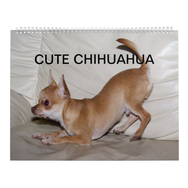 Sweet Little Chihuahua 2023 Kalender (Omslag)