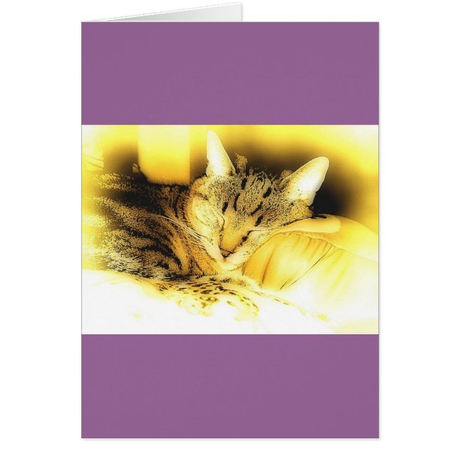 Sweet Little Indigo Hälsningskort (Framsidan)