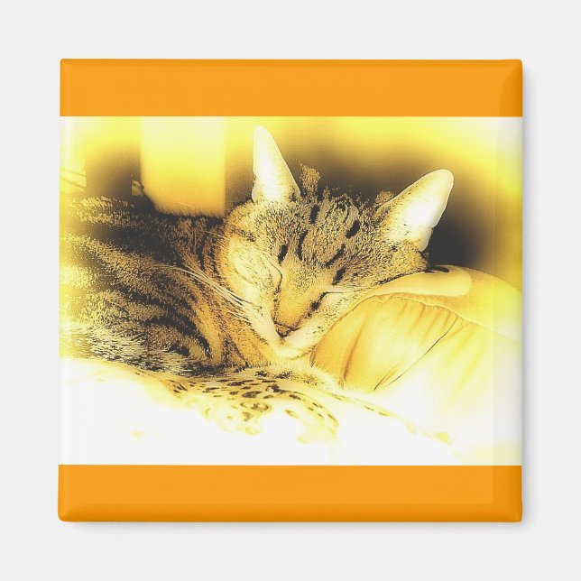 Sweet Little Indigo Magnet (Framsidan)