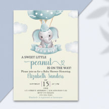 Sweet Little Peanut is on the way Baby shower