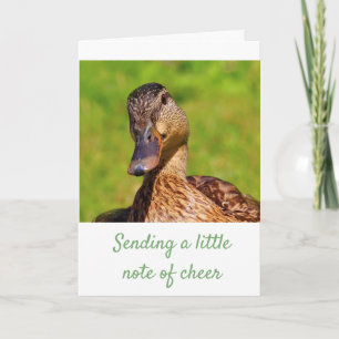 Sweet Mallard Anka Get well Kort