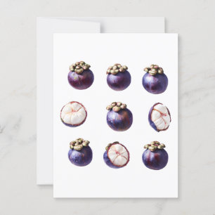 Sweet Mangosteen Tropical Fruit Vykort