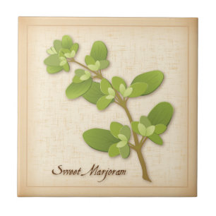 Sweet Marjoram Herb Kakelplatta