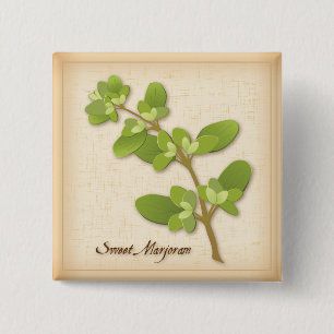 Sweet Marjoram Herb Knapp