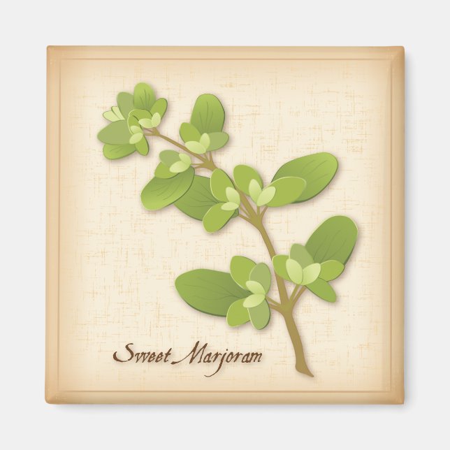 Sweet Marjoram Herb Magnet (Framsidan)