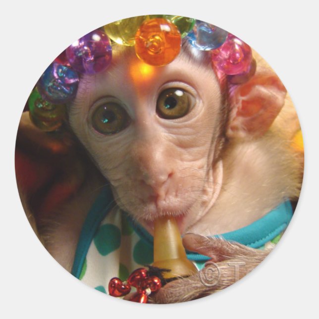 Sweet Meiki Runt Klistermärke (Framsida)