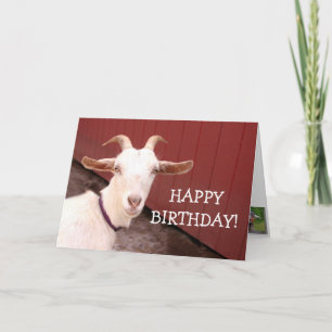 Sweet Nanny Goat Birthday Kort
