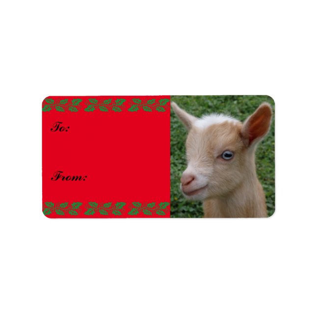 Sweet Nigerian Dwarf Goat Kid jul Gift Märkre Adressetikett (Framsidan)