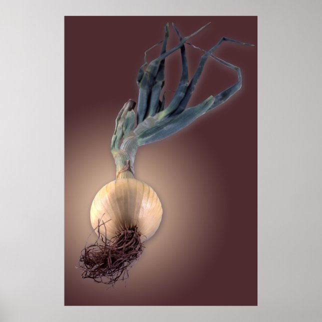 Sweet Onion Poster (Framsidan)