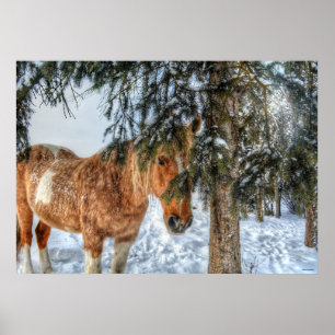 Sweet Palomino Paint Horse Shelfrom Snö Poster