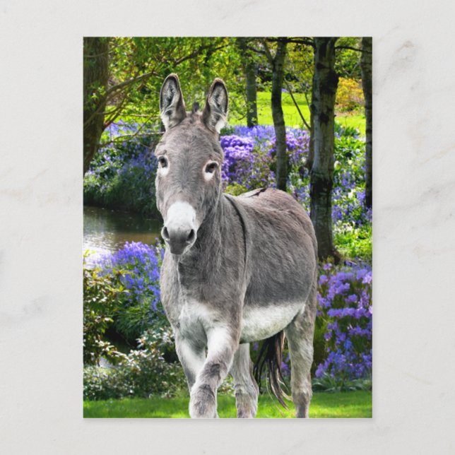 "Sweet Påsk" Vykort (Framsida)