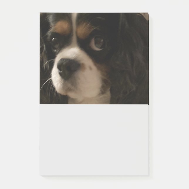 Sweet Pet Hund Groomer Veterinarian Cute Business Post-it Block (Framsida)