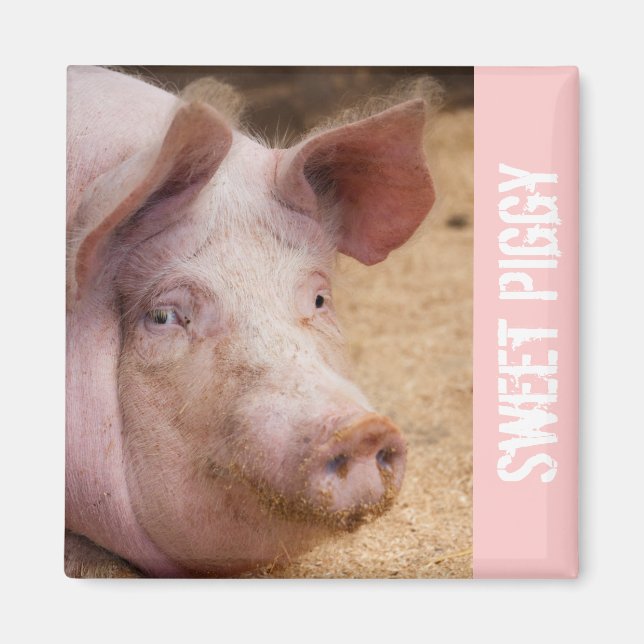 Sweet Piggy Magnet (Framsidan)