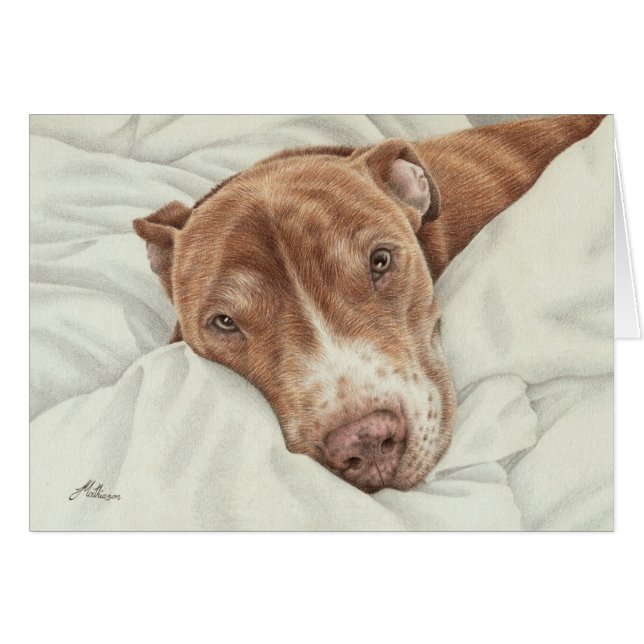 Sweet Pit Bull Card Hälsningskort (Framsidan Horizontal)