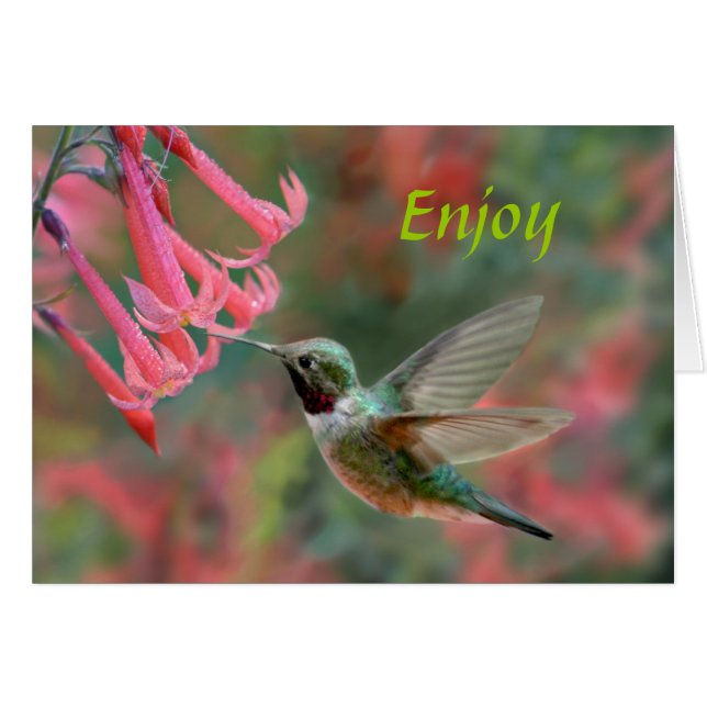 Sweet Pleasures Hälsningskort (Framsidan Horizontal)