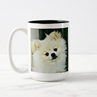 Sweet Pomeranian Två-Tonad Mugg