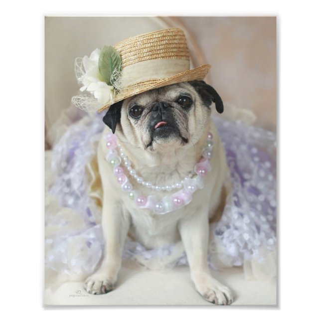 Sweet Pug in Straw Hat Print Fototryck (Framsidan)