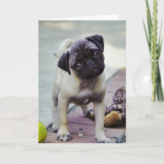 Sweet Pug Puppy Valentine #2-hälsningskort Helgkort