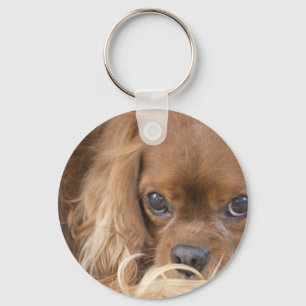 Sweet Ruby Cavalier Kung Charles Spain Nyckelring