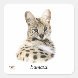 Sweet Samara Fyrkantigt Klistermärke