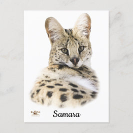 Sweet Samara Vykort