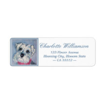 Sweet Schnauzer Puppy