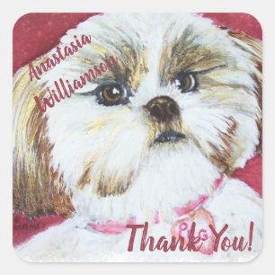 Sweet Shih Tzu TACK Fyrkantigt Klistermärke