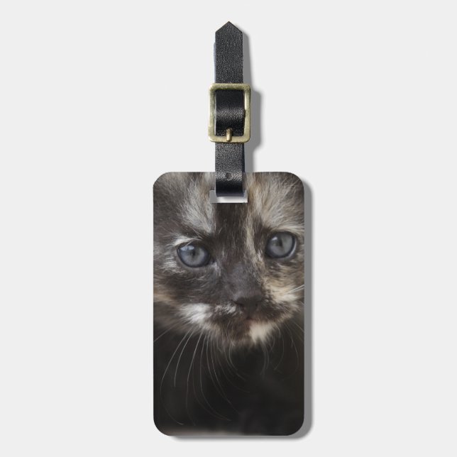 Sweet Shy Tortoiseshell Baby Bagagebricka (Vertikal Framsida)