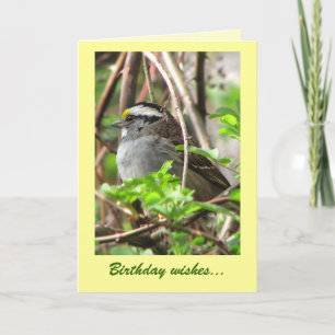 Sweet Sparrow Birthday Kort
