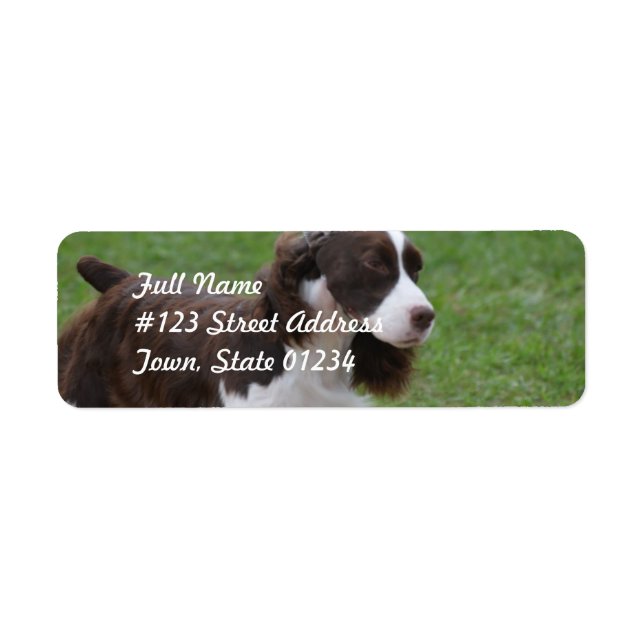 Sweet Springer Spain Returadress Etikett (Framsidan)