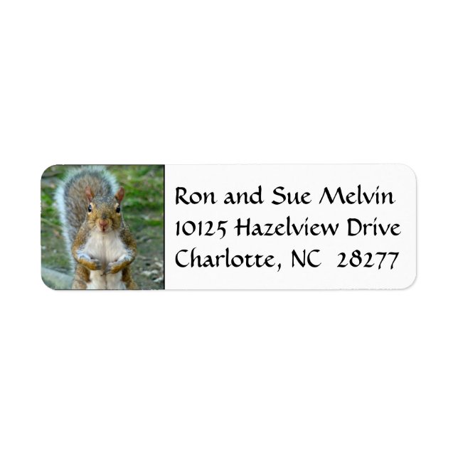 Sweet Squirrel Ansikte Returetiketter Returadress Etikett (Framsidan)