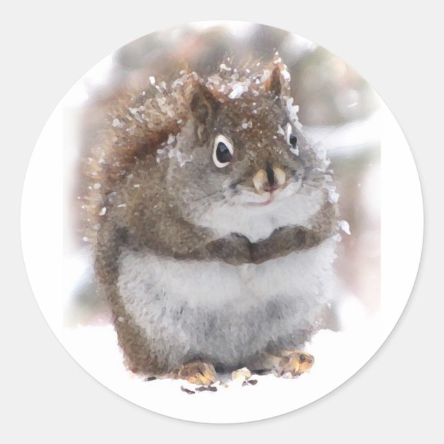 Sweet Squirrel Runt Klistermärke (Framsida)