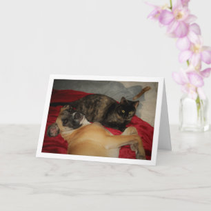 Sweet Tortoiseshell Kitten med Puppy Kort