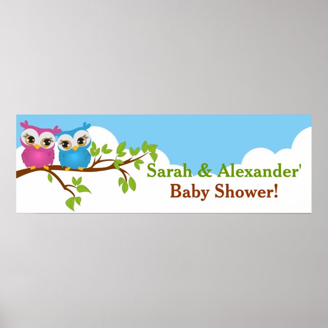 Sweet Twillingars Uggla Boy Baby Shower Banner Poster (Framsidan)