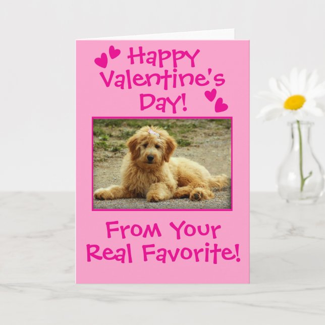 Sweet Valentine's Day From The Dog Photo Card Kort (Liten växt)