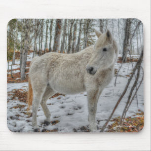 Sweet White Mare och Winter Forest Gift Musmatta