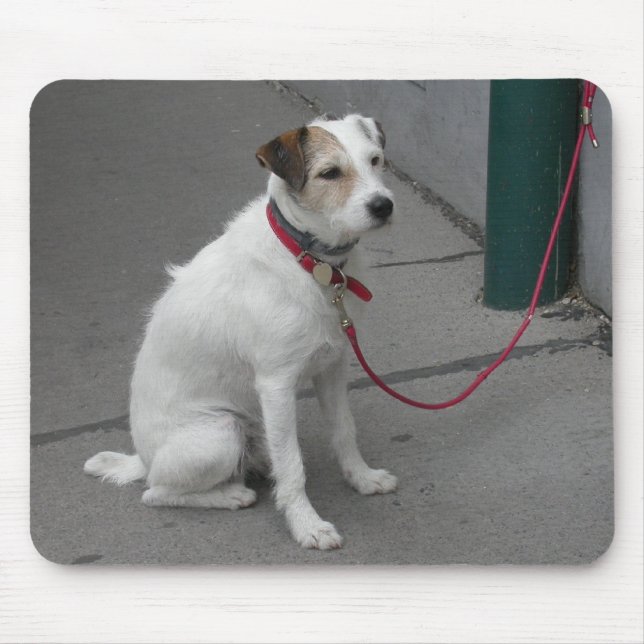 Sweet White Mongrel Musmatta (Framsidan)