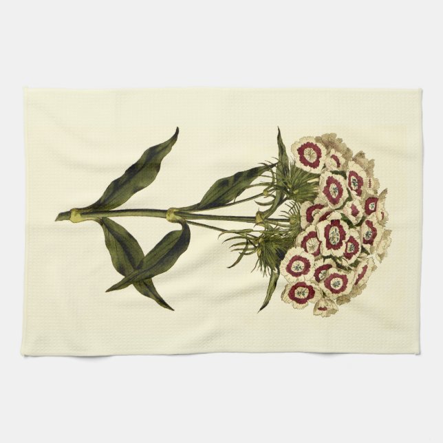 Sweet William Blommigt Art Kitchen Towel Kökshandduk (Horisontell)