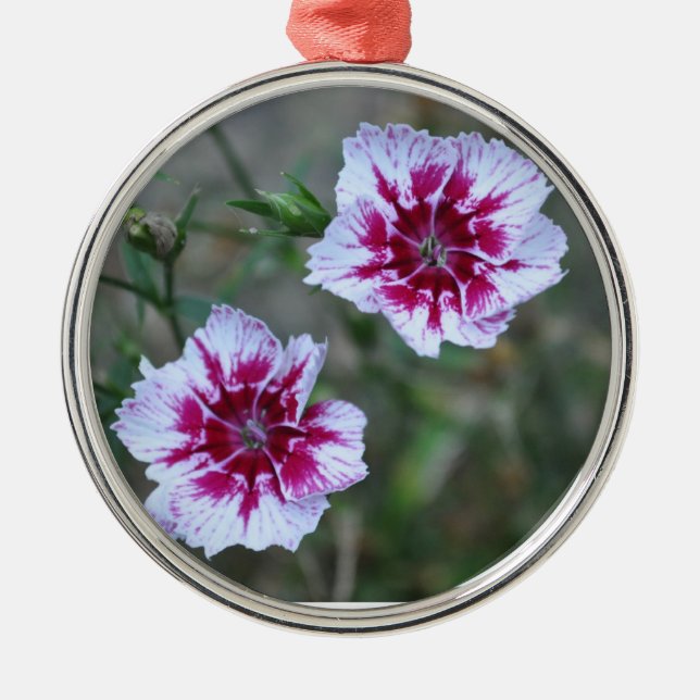 Sweet Williams Julgransprydnad Metall (Framsidan)