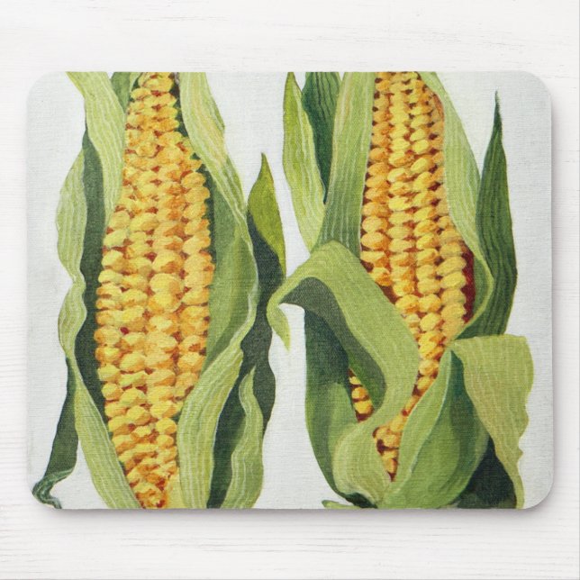 Sweetcorn 2013 musmatta (Framsidan)