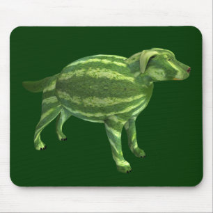 Sweetest Melon Hund Musmatta