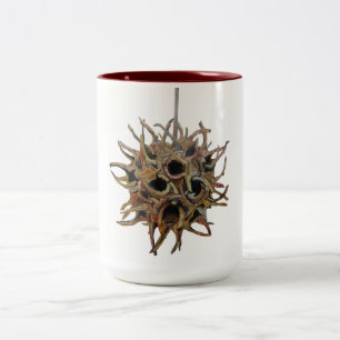 Sweetgum pod 2 tonar 15 uns. mugg (1 av 4)