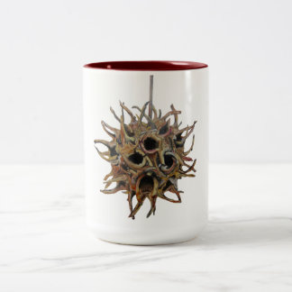 Sweetgum pod 2 tonar 15 uns. mugg (1 av 4)