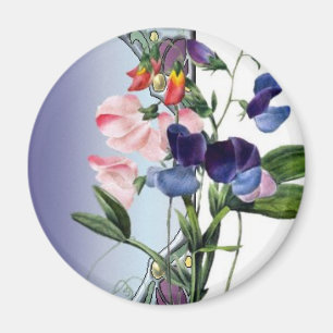 Sweetpea blommor magnet