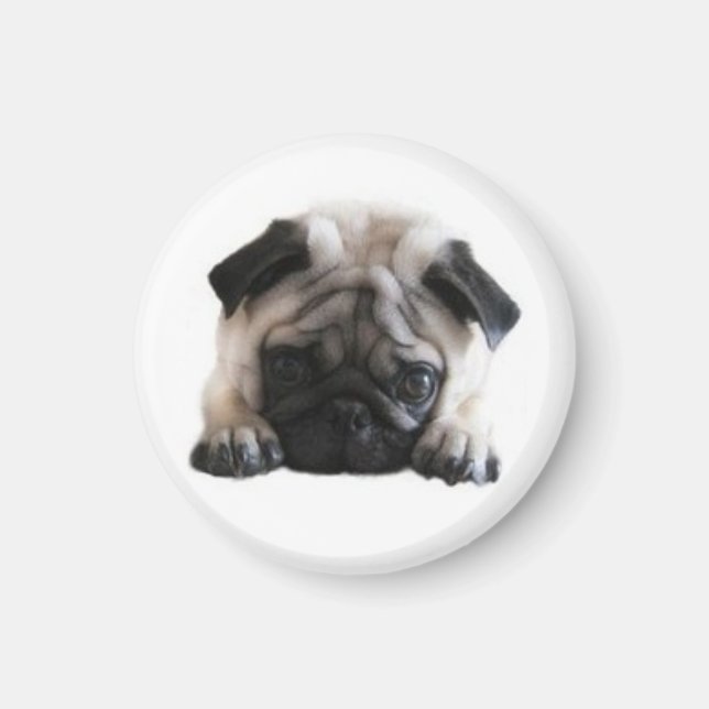 SweetPea Pugs Round Fridge Magnet (Framsidan)