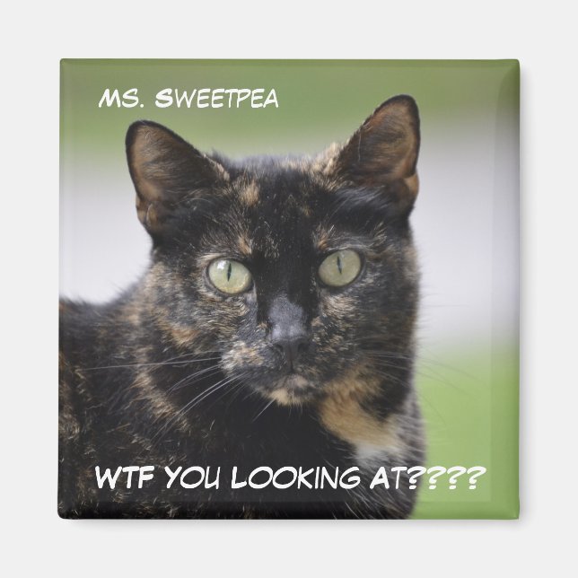 Sweetpea the Tortie Magnet (Framsidan)